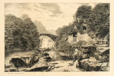 Jesmond Dene